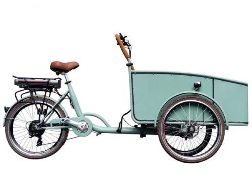 Electric Pink 3 Wheels Cargo Bike / Electric Sky Blue Tricycle for Cargo