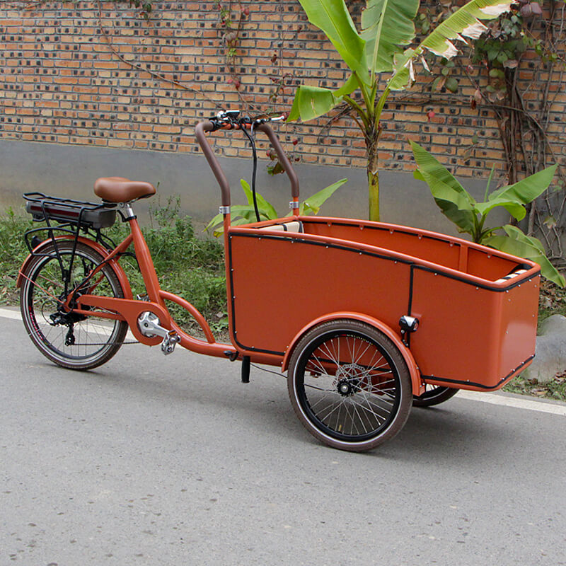 2022 New Design 3 Wheels Cargo Bike Electric Tricycle Adult Tricycle ...