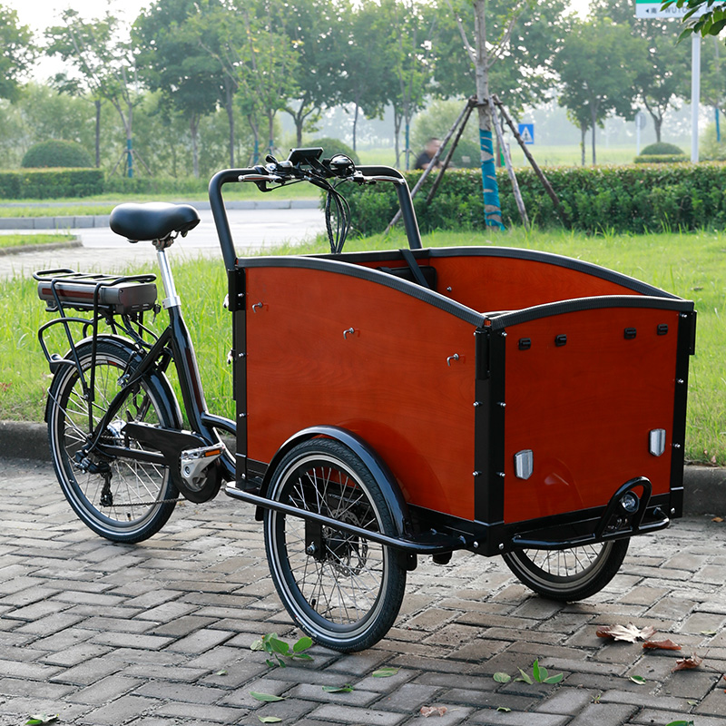 New Model Bakfiets Three Wheel Tricycle Cheap Electric Cargo Bike for ...